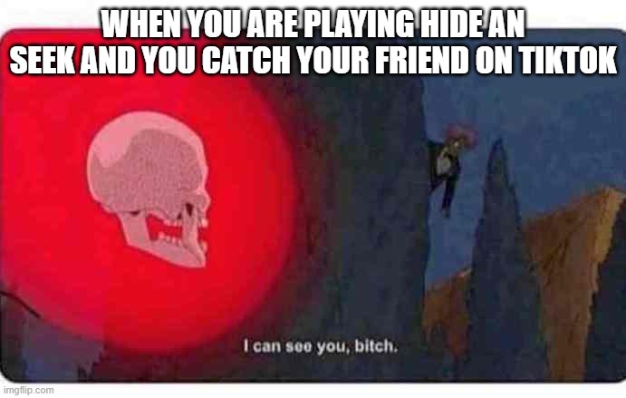 I can see you, bitch | WHEN YOU ARE PLAYING HIDE AN SEEK AND YOU CATCH YOUR FRIEND ON TIKTOK | image tagged in i can see you bitch | made w/ Imgflip meme maker