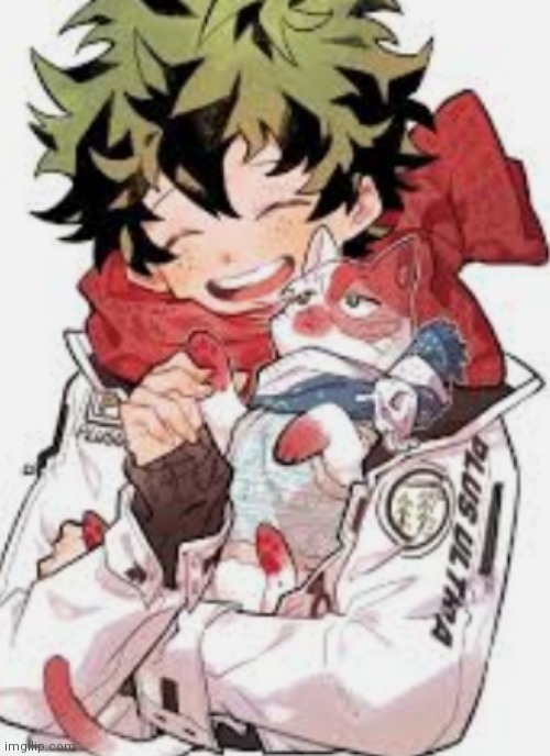 I found this cat and it looks just like todo | image tagged in cat | made w/ Imgflip meme maker