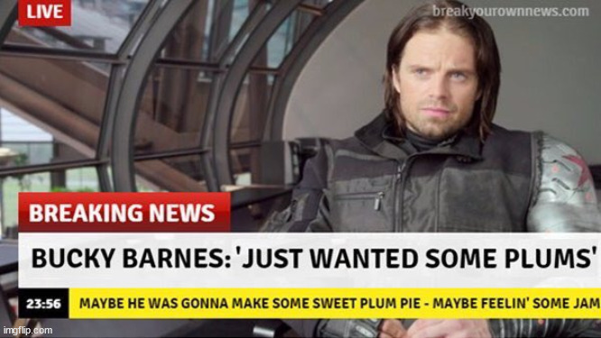 Poor guy - all that just because he wanted plums | image tagged in marvel,captain america civil war,winter soldier,breaking news | made w/ Imgflip meme maker