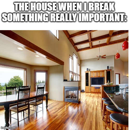 THE HOUSE WHEN I BREAK SOMETHING REALLY IMPORTANT: | image tagged in blank transparent square | made w/ Imgflip meme maker