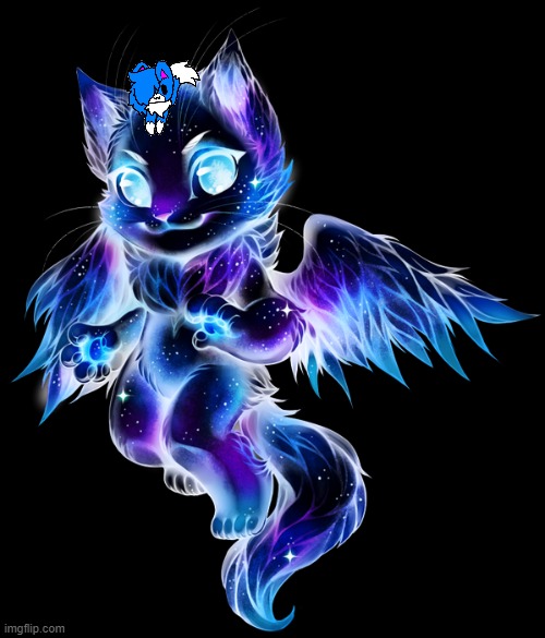 Galaxy Dragon Cat | image tagged in galaxy dragon cat,shoulder cloud | made w/ Imgflip meme maker