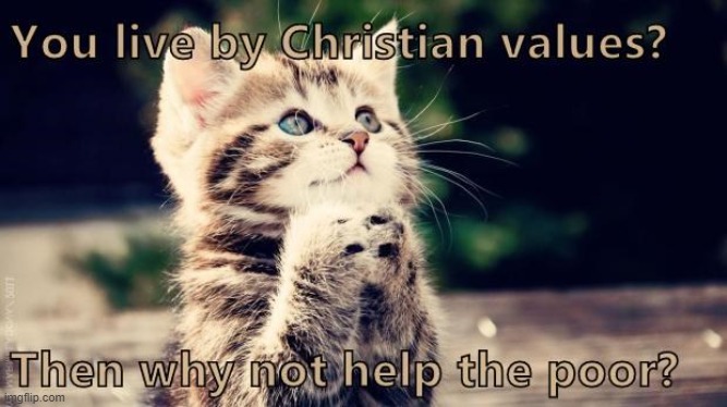 Why put 'christian' in your profile if you refuse to help the poor? | image tagged in christian,poor,help,lolcat,social media | made w/ Imgflip meme maker