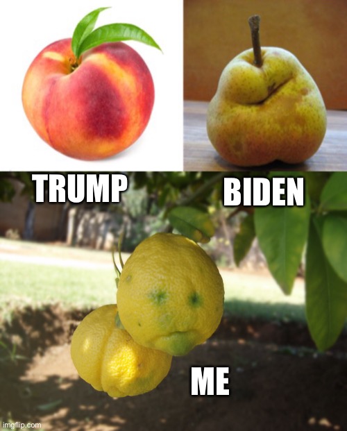 fruits of the end | BIDEN; TRUMP; ME | image tagged in fruit | made w/ Imgflip meme maker