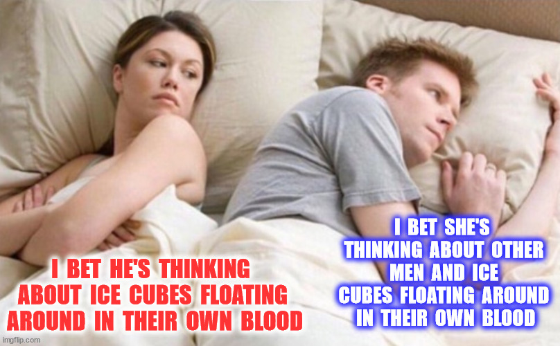 I  BET  HE'S  THINKING  ABOUT  ICE  CUBES  FLOATING  AROUND  IN  THEIR  OWN  BLOOD I  BET  SHE'S  THINKING  ABOUT  OTHER  MEN  AND  ICE  CUB | made w/ Imgflip meme maker