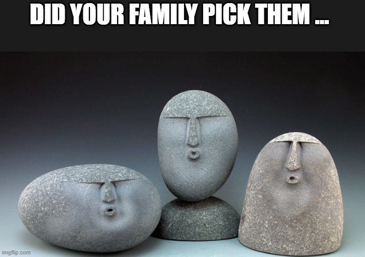 Oof Stones | DID YOUR FAMILY PICK THEM … | image tagged in oof stones | made w/ Imgflip meme maker
