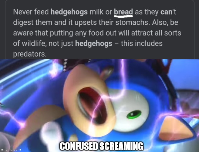 Hedgehogs can't eat bread | CONFUSED SCREAMING | image tagged in so sonic shouldn't eat chilli dogs,because chilli dogs have bread | made w/ Imgflip meme maker