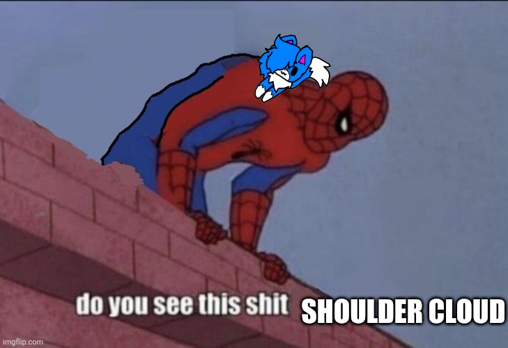 Spider-Man Do You See this | SHOULDER CLOUD | image tagged in spider-man do you see this | made w/ Imgflip meme maker