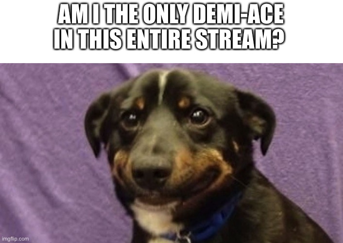 I’m demiromantic asexual and I haven’t really seen other people like that on here | AM I THE ONLY DEMI-ACE IN THIS ENTIRE STREAM? | image tagged in nervous dog | made w/ Imgflip meme maker