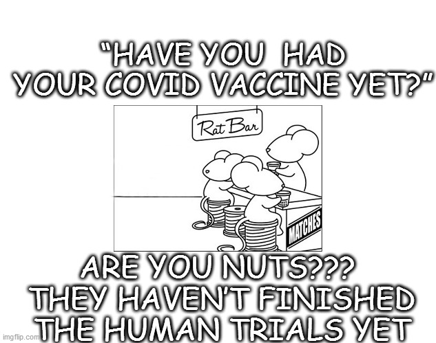 Two rats walk into a bar | “HAVE YOU  HAD YOUR COVID VACCINE YET?”; ARE YOU NUTS??? 
THEY HAVEN’T FINISHED THE HUMAN TRIALS YET | image tagged in covid | made w/ Imgflip meme maker