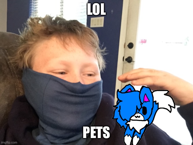 LOL; PETS | made w/ Imgflip meme maker