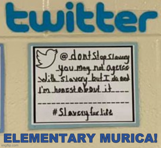 pro slavery elementary school tweets | ELEMENTARY MURICA! | image tagged in pro slavery elementary school tweet north carolina,racism,slavery,conservative logic,denial,conservative hypocrisy | made w/ Imgflip meme maker