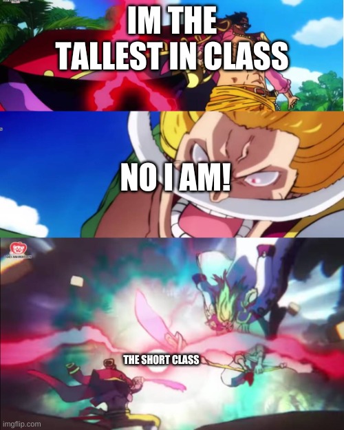 Roger Vs Edward | IM THE TALLEST IN CLASS; NO I AM! THE SHORT CLASS | image tagged in gol d roger v edward newgate | made w/ Imgflip meme maker