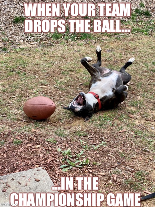 Football vs Dog | WHEN YOUR TEAM DROPS THE BALL... ...IN THE CHAMPIONSHIP GAME | image tagged in cash the agony of defeat | made w/ Imgflip meme maker