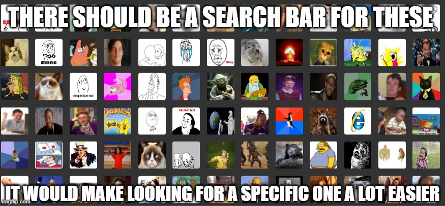 THERE SHOULD BE A SEARCH BAR FOR THESE; IT WOULD MAKE LOOKING FOR A SPECIFIC ONE A LOT EASIER | made w/ Imgflip meme maker