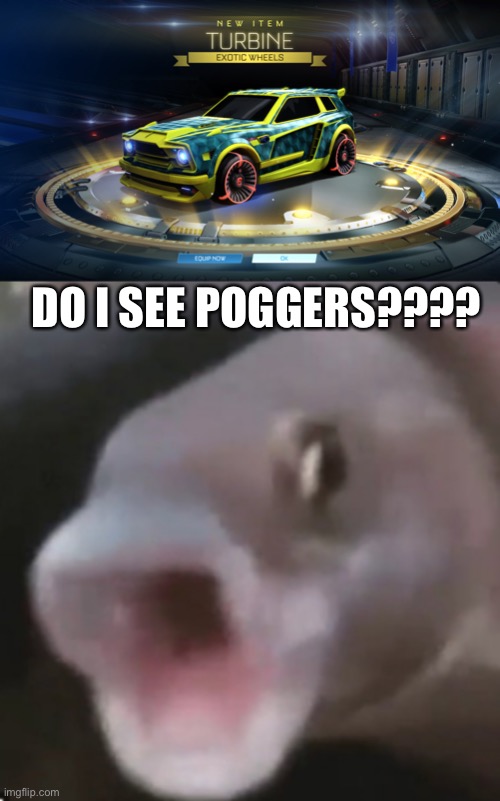Insert pog meme here | DO I SEE POGGERS???? | image tagged in pog pog pog pog,rocket league,oh wow are you actually reading these tags | made w/ Imgflip meme maker