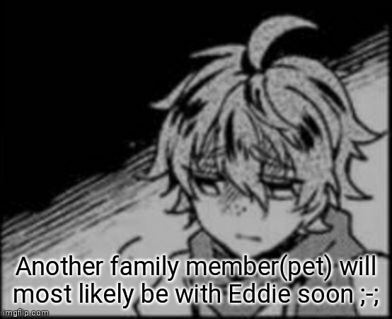 *silently wants to join Eddie* | Another family member(pet) will most likely be with Eddie soon ;-; | image tagged in sad eddie | made w/ Imgflip meme maker