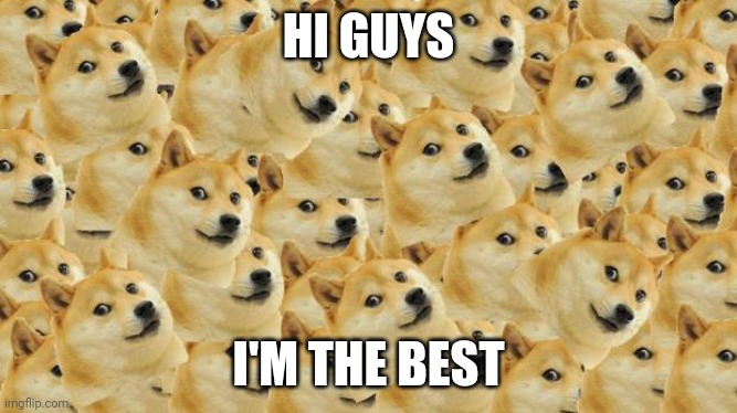 I was jk | HI GUYS; I'M THE BEST | image tagged in memes,multi doge | made w/ Imgflip meme maker