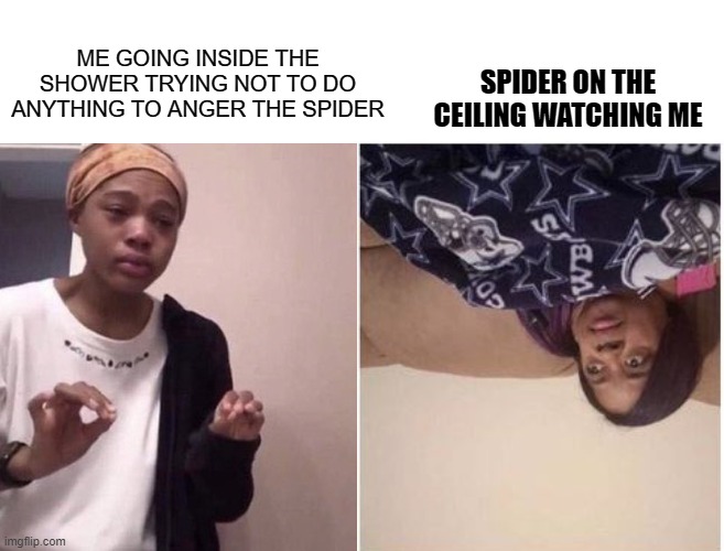 Scary large spider | ME GOING INSIDE THE SHOWER TRYING NOT TO DO ANYTHING TO ANGER THE SPIDER; SPIDER ON THE CEILING WATCHING ME | image tagged in me explaining to my mom | made w/ Imgflip meme maker