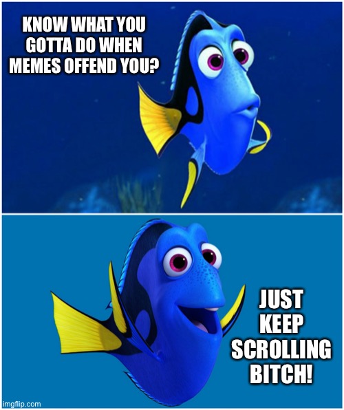 Dory | KNOW WHAT YOU GOTTA DO WHEN MEMES OFFEND YOU? JUST KEEP SCROLLING BITCH! | image tagged in dory | made w/ Imgflip meme maker