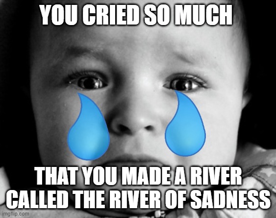 The river of sadness | YOU CRIED SO MUCH; THAT YOU MADE A RIVER CALLED THE RIVER OF SADNESS | image tagged in memes,sad baby | made w/ Imgflip meme maker
