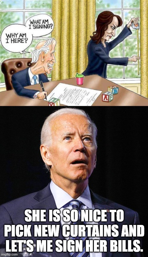 SHE IS SO NICE TO PICK NEW CURTAINS AND LET'S ME SIGN HER BILLS. | image tagged in dumb joe biden,conservatives | made w/ Imgflip meme maker