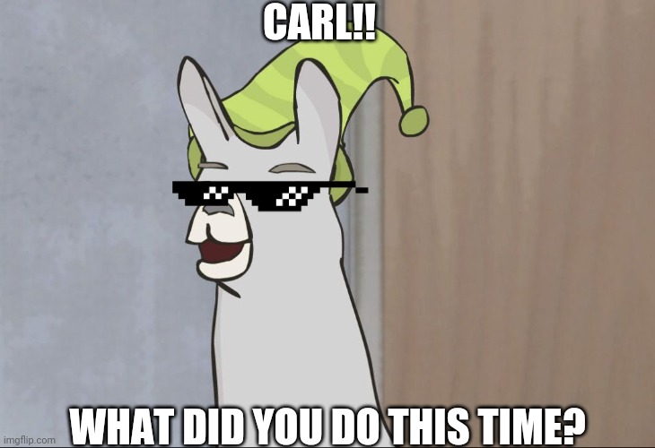 Lamas with hats | CARL!! WHAT DID YOU DO THIS TIME? | image tagged in lamas with hats | made w/ Imgflip meme maker