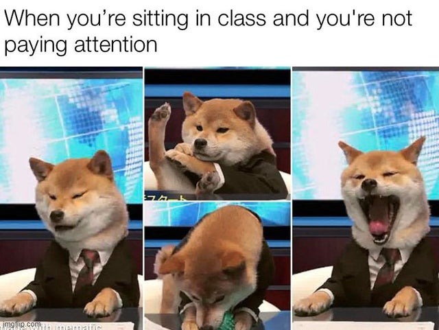 Not paying attention | image tagged in doge,attention,classroom | made w/ Imgflip meme maker