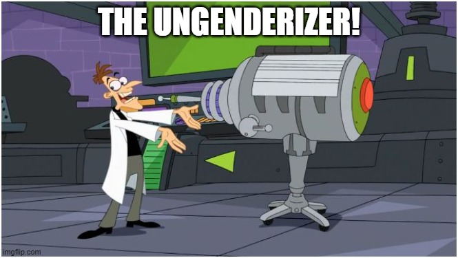 Behold Dr. Doofenshmirtz | THE UNGENDERIZER! | image tagged in behold dr doofenshmirtz | made w/ Imgflip meme maker