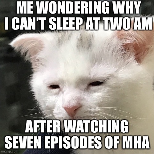 Haha ooops :/ | ME WONDERING WHY I CAN’T SLEEP AT TWO AM; AFTER WATCHING SEVEN EPISODES OF MHA | image tagged in i'm awake but at what cost | made w/ Imgflip meme maker