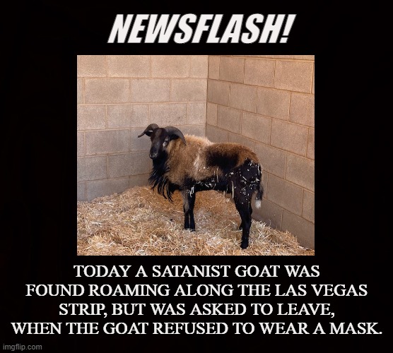 I AM NOT A SHEEP | NEWSFLASH! TODAY A SATANIST GOAT WAS FOUND ROAMING ALONG THE LAS VEGAS STRIP, BUT WAS ASKED TO LEAVE, WHEN THE GOAT REFUSED TO WEAR A MASK. | image tagged in goat,las vegas,mask,covid-19,freedom,liberty | made w/ Imgflip meme maker