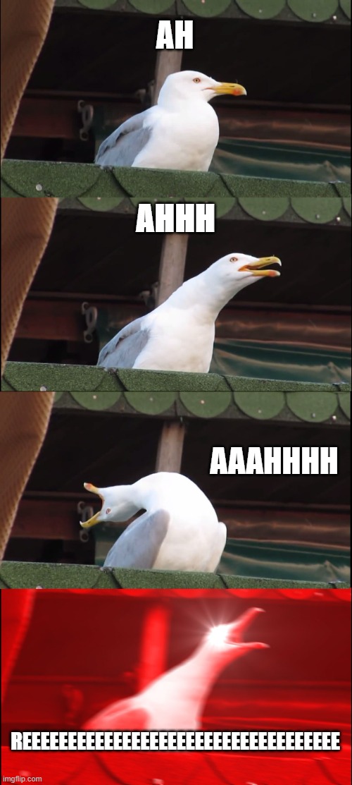 Inhaling Seagull Meme | AH; AHHH; AAAHHHH; REEEEEEEEEEEEEEEEEEEEEEEEEEEEEEEEEEE | image tagged in memes,inhaling seagull | made w/ Imgflip meme maker