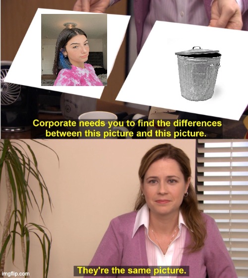ITS THE SAME PICTURE | image tagged in memes,they're the same picture | made w/ Imgflip meme maker