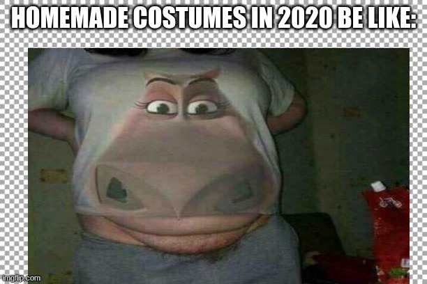 HOMEMADE COSTUMES IN 2020 BE LIKE: | image tagged in madagascar | made w/ Imgflip meme maker