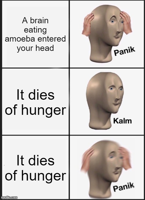 This is a remix of a similar meme i made | A brain eating amoeba entered your head; It dies of hunger; It dies of hunger | image tagged in memes,panik kalm panik | made w/ Imgflip meme maker