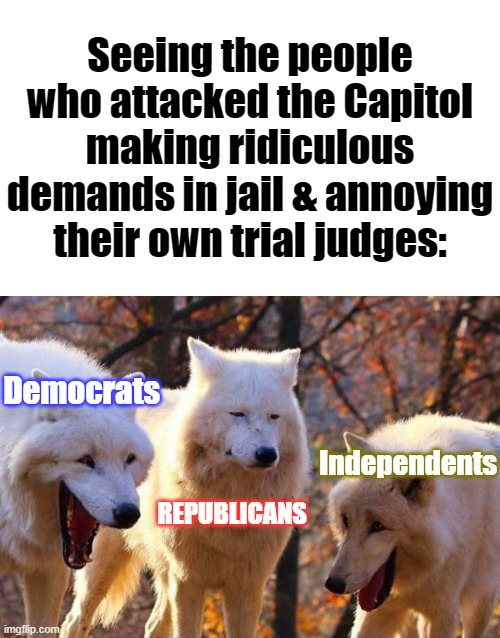 They are only making it worse for themselves | Seeing the people who attacked the Capitol making ridiculous demands in jail & annoying their own trial judges:; Democrats; Independents; REPUBLICANS | image tagged in laughing wolves,qanon,jail,courtroom,tom the cat shooting himself | made w/ Imgflip meme maker