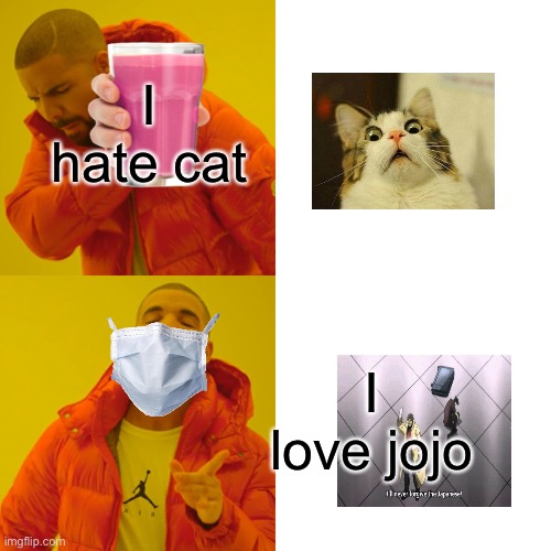 Drake Hotline Bling | I hate cat; I love jojo | image tagged in memes,drake hotline bling | made w/ Imgflip meme maker