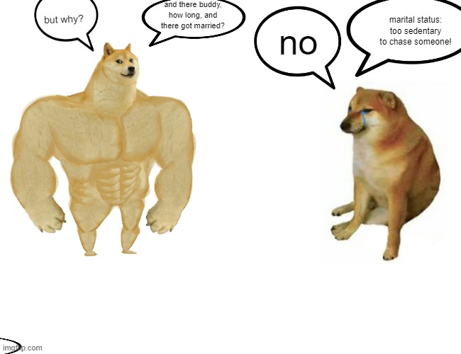 Buff Doge vs. Cheems | and there buddy, how long, and there got married? but why? marital status: too sedentary to chase someone! no | image tagged in memes,buff doge vs cheems | made w/ Imgflip meme maker