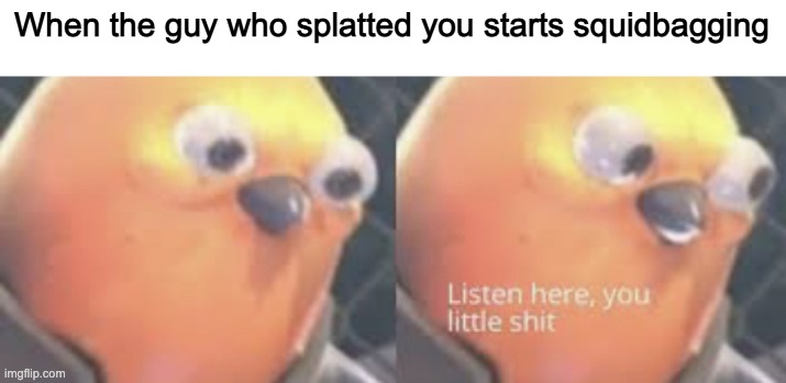 Splatoon memes, anyone? | When the guy who splatted you starts squidbagging | image tagged in listen here you little shit bird | made w/ Imgflip meme maker