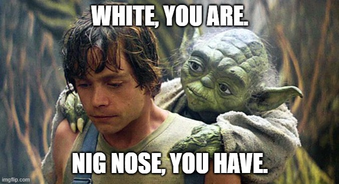 Nig Nose | WHITE, YOU ARE. NIG NOSE, YOU HAVE. | image tagged in yoda,nig,nose,funny,star wars,luke | made w/ Imgflip meme maker