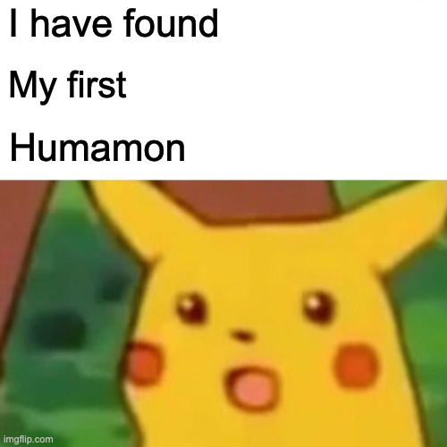 wait a minute | I have found; My first; Humamon | image tagged in memes | made w/ Imgflip meme maker