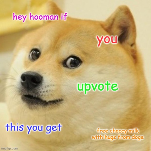 Doge Meme | hey hooman if; you; upvote; this you get; free choccy milk with hugs from doge | image tagged in memes,doge | made w/ Imgflip meme maker