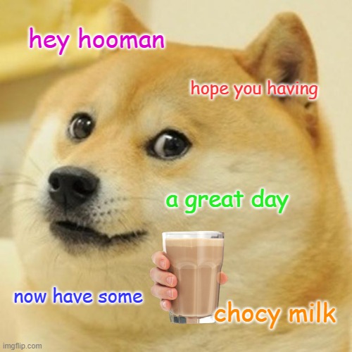 Doge Meme | hey hooman; hope you having; a great day; now have some; chocy milk | image tagged in memes,doge | made w/ Imgflip meme maker