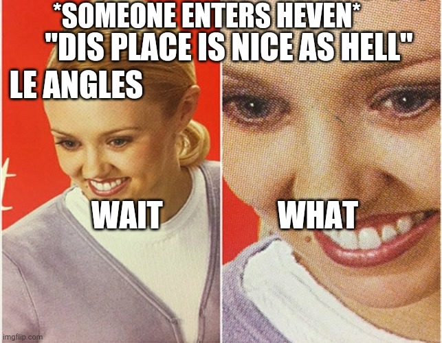 WAIT WHAT? | *SOMEONE ENTERS HEVEN*; "DIS PLACE IS NICE AS HELL"; LE ANGLES; WAIT                   WHAT | image tagged in wait what | made w/ Imgflip meme maker