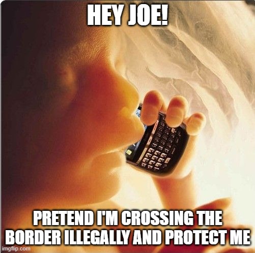 Baby in womb on cell phone - fetus blackberry | HEY JOE! PRETEND I'M CROSSING THE BORDER ILLEGALLY AND PROTECT ME | image tagged in baby in womb on cell phone - fetus blackberry | made w/ Imgflip meme maker