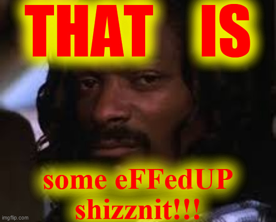 Mad snoop dogg | THAT    IS some eFFedUP
shizznit!!! | image tagged in mad snoop dogg | made w/ Imgflip meme maker