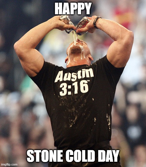 Happy stone Cold Day | HAPPY; STONE COLD DAY | image tagged in wwe,steve austin,stone cold steve austin,wrestling,stone cold | made w/ Imgflip meme maker