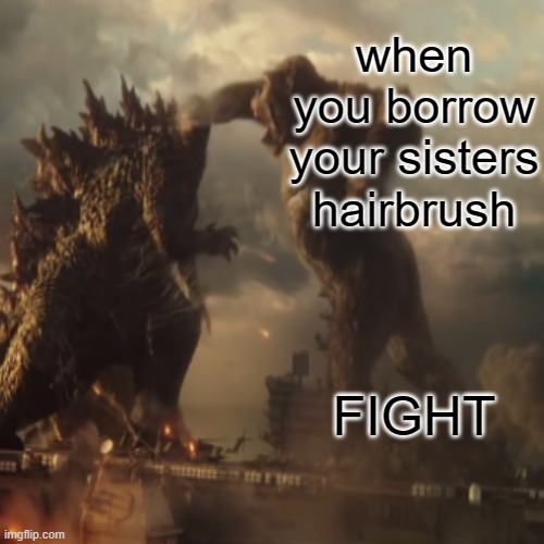 THIS IS WHEN YOU FIGHT WITH YOUR SISTER | when you borrow your sisters hairbrush; FIGHT | image tagged in fight | made w/ Imgflip meme maker