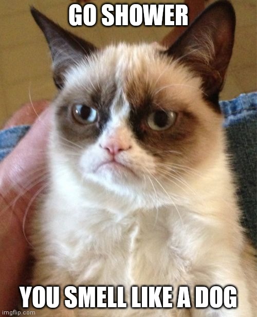 Grumpy Cat | GO SHOWER; YOU SMELL LIKE A DOG | image tagged in memes,grumpy cat | made w/ Imgflip meme maker