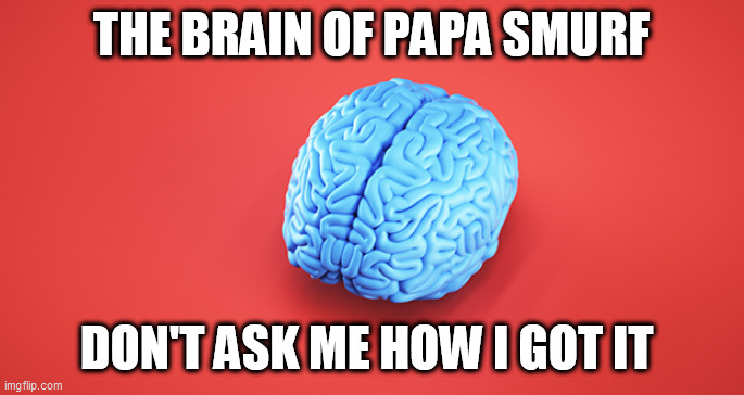 smurf | THE BRAIN OF PAPA SMURF; DON'T ASK ME HOW I GOT IT | image tagged in smurf | made w/ Imgflip meme maker