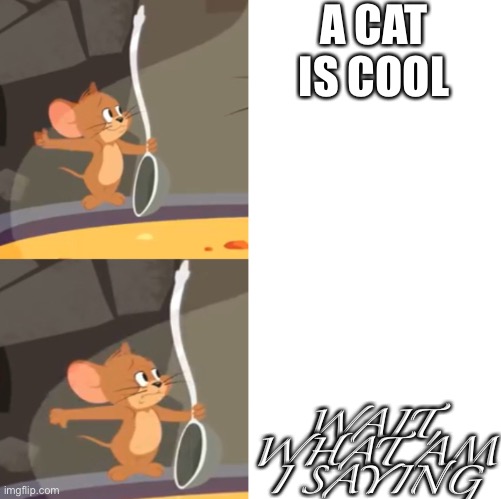 Jerry soup (Drake Version) | A CAT IS COOL; WAIT, WHAT AM I SAYING | image tagged in jerry soup drake version | made w/ Imgflip meme maker